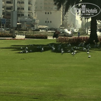 фото из отзыва ID 2735674