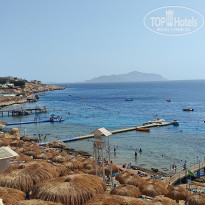 фото из отзыва ID 2735686