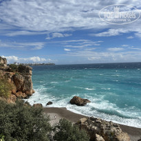 фото из отзыва ID 2735693