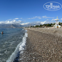 фото из отзыва ID 2735693