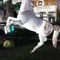 фото из отзыва ID 2735476