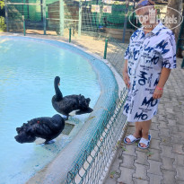 фото из отзыва ID 2735723