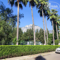 фото из отзыва ID 2735723