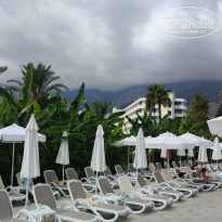 фото из отзыва ID 2735723