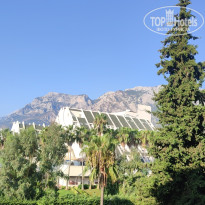 фото из отзыва ID 2735723