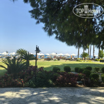 фото из отзыва ID 2735734