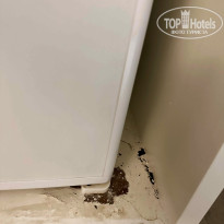 фото из отзыва ID 2735743