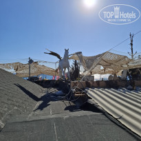 фото из отзыва ID 2735748