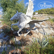 фото из отзыва ID 2735748