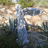 фото из отзыва ID 2735748