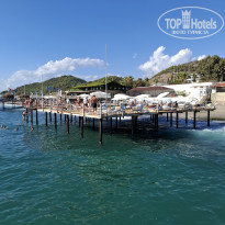 фото из отзыва ID 2735748