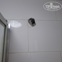 фото из отзыва ID 2735748