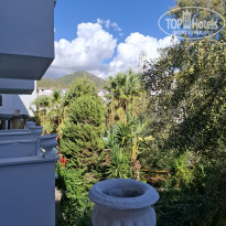 фото из отзыва ID 2735748