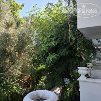 фото из отзыва ID 2735748