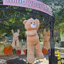 фото из отзыва ID 2735748