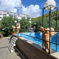 фото из отзыва ID 2735748