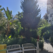 фото из отзыва ID 2735748