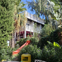 фото из отзыва ID 2735748