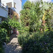 фото из отзыва ID 2735748