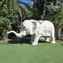 фото из отзыва ID 2735748