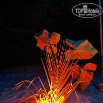 фото из отзыва ID 2735753