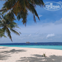 фото из отзыва ID 2735753