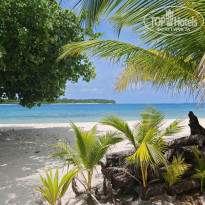 фото из отзыва ID 2735753