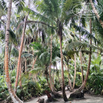 фото из отзыва ID 2735753