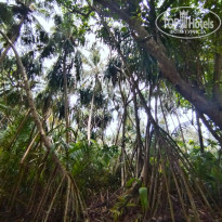 фото из отзыва ID 2735753