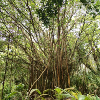 фото из отзыва ID 2735753