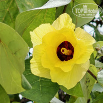 фото из отзыва ID 2735753