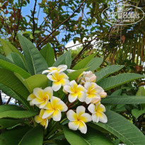 фото из отзыва ID 2735753