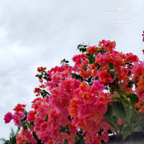 фото из отзыва ID 2735753