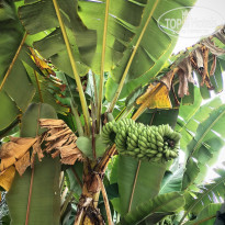 фото из отзыва ID 2735753