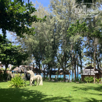 фото из отзыва ID 2735769