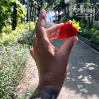 фото из отзыва ID 2735769