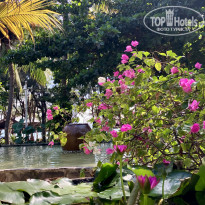 фото из отзыва ID 2735769