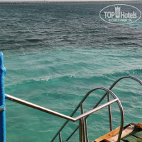 фото из отзыва ID 2735779