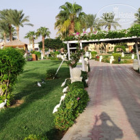 фото из отзыва ID 2735779