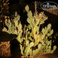 фото из отзыва ID 2735797