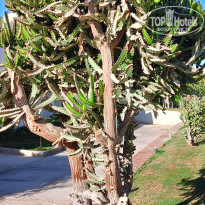 фото из отзыва ID 2735797