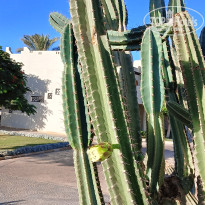 фото из отзыва ID 2735797