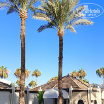 фото из отзыва ID 2735797