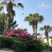 фото из отзыва ID 2735812