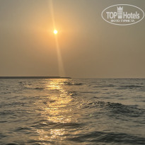 фото из отзыва ID 2735812