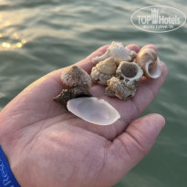 фото из отзыва ID 2735812