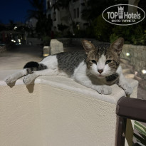 фото из отзыва ID 2735812