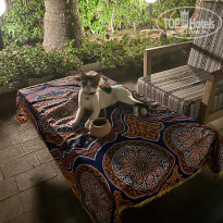 фото из отзыва ID 2735812