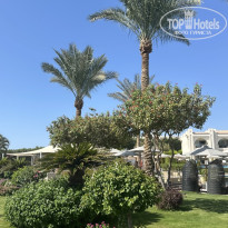 фото из отзыва ID 2735822