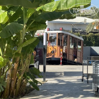 фото из отзыва ID 2735818